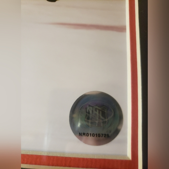 Mike Fisher Ottawa Senators 🏒 Hockey Sport Memorabilia Collector 8x10 Frame - Picture 4 of 5